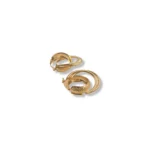 Gold Loop Earrings