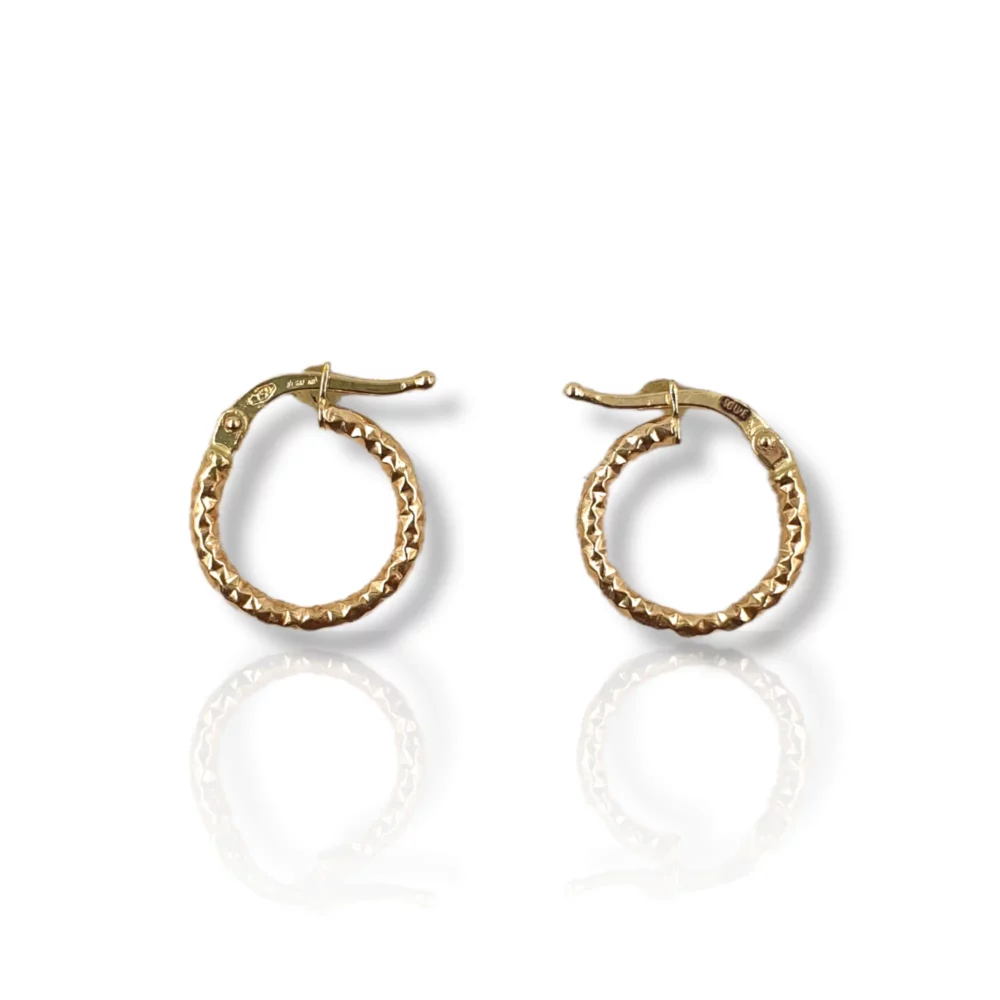 Diamond Cut Round Earrings
