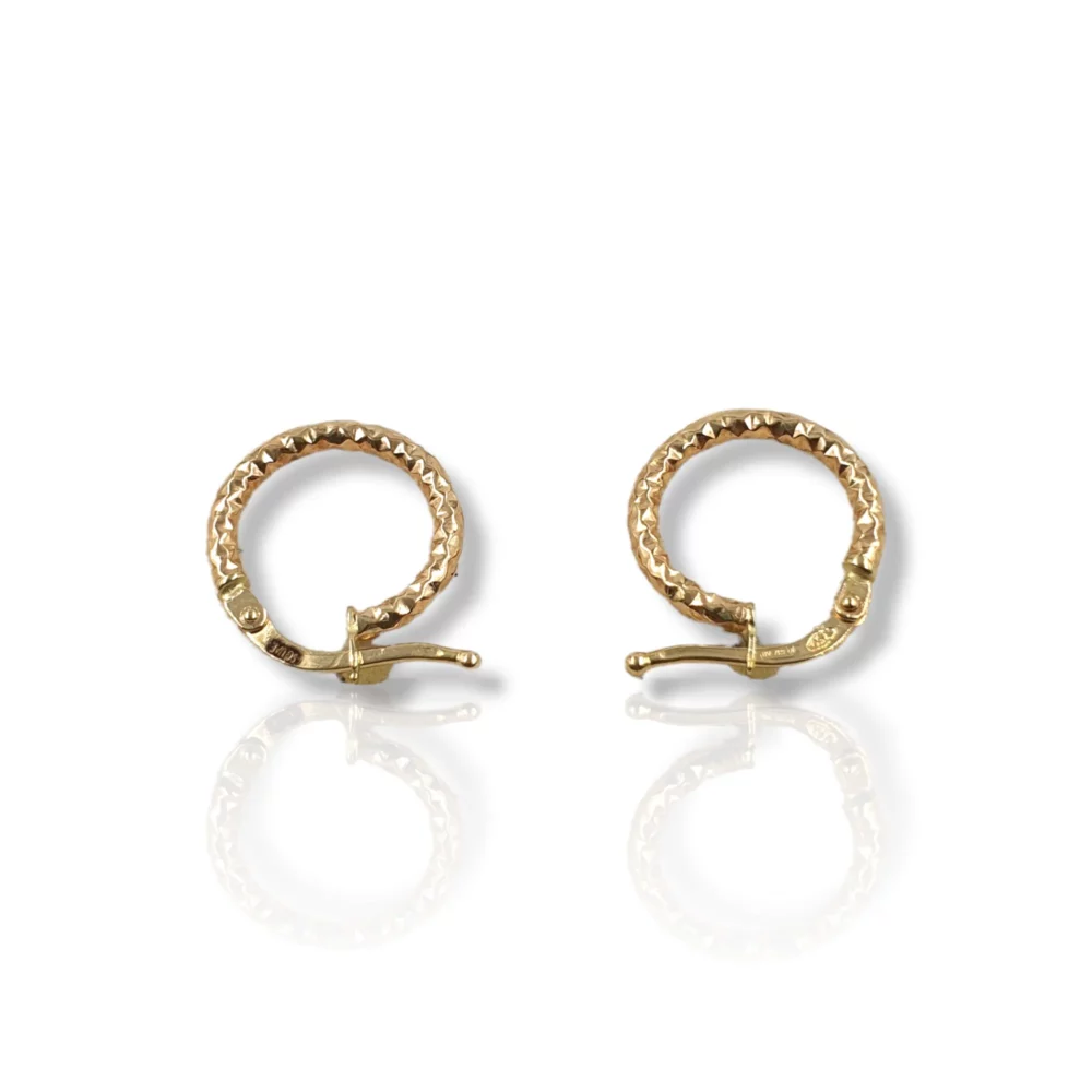 Diamond Cut Round Earrings