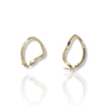Oval Earrings