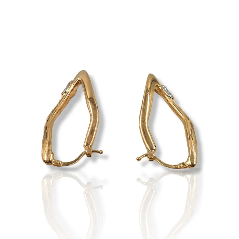 Organic Hoop Earrings