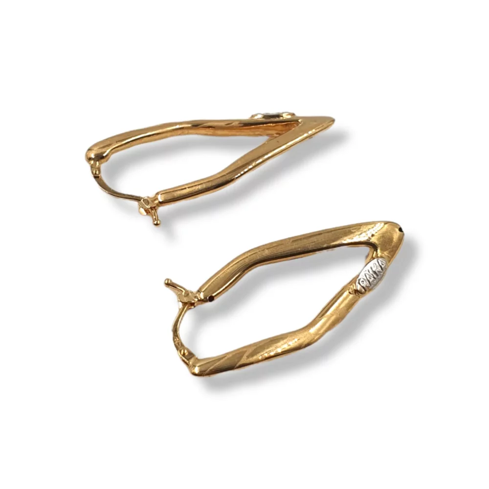 Organic Hoop Earrings