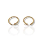 Fancy Round Earrings