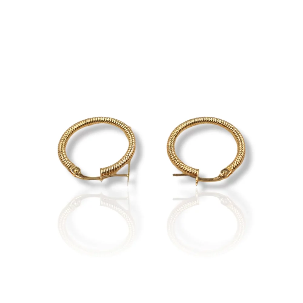 Fancy Round Earrings