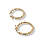 Fancy Round Earrings