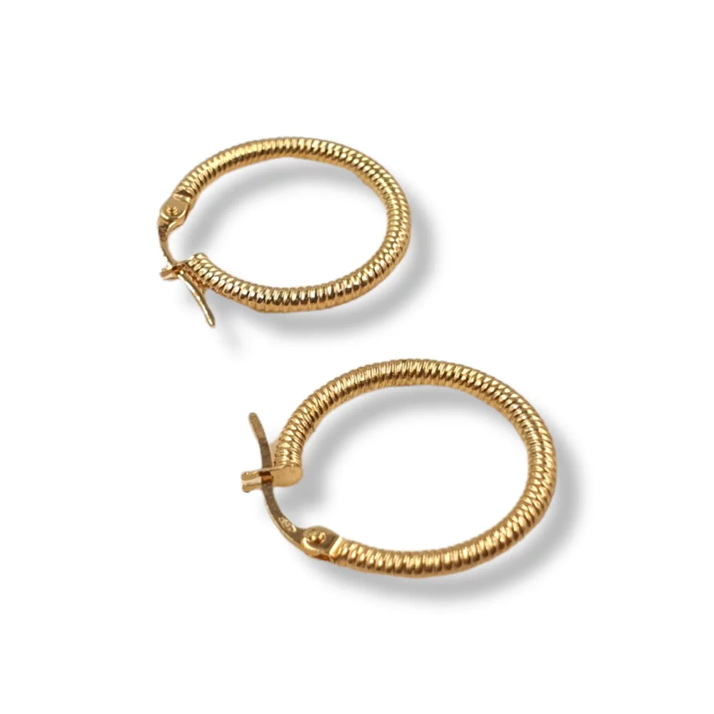 Fancy Round Earrings
