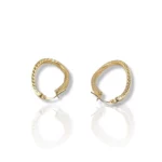 Oval Earrings