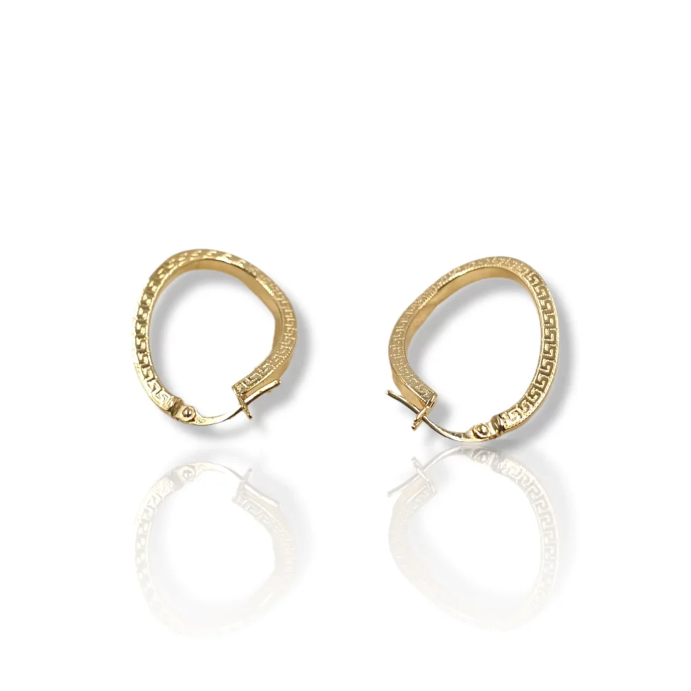 Oval Earrings