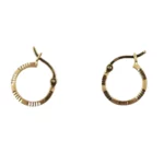Loop Earrings