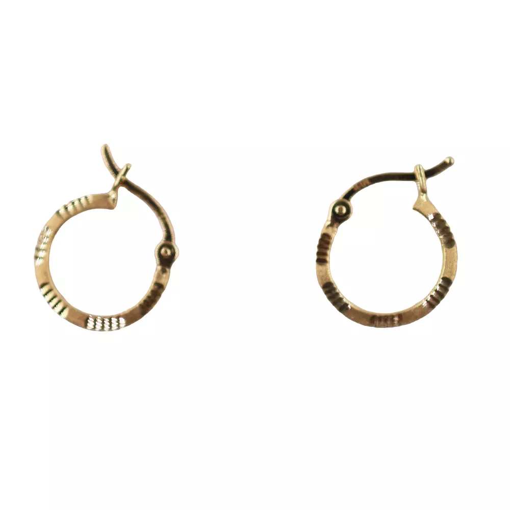 Loop Earrings