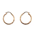 Twisted loop Earrings