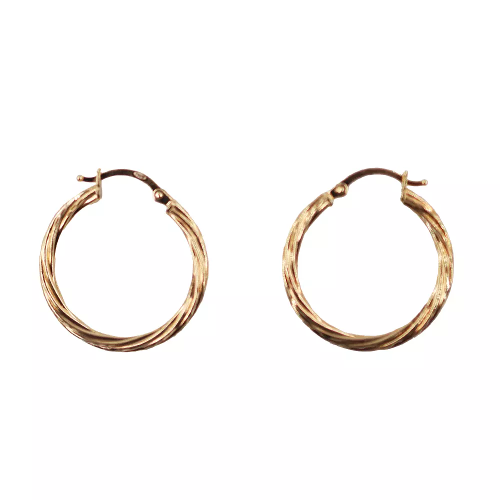 Twisted loop Earrings
