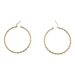 Round Spiral Hoop Earring