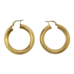 Fancy Charm Loop Earring