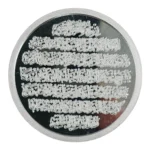 Silver coin 50 grams