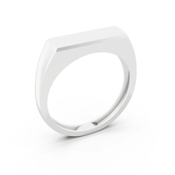 Bar Signet Ring 1
