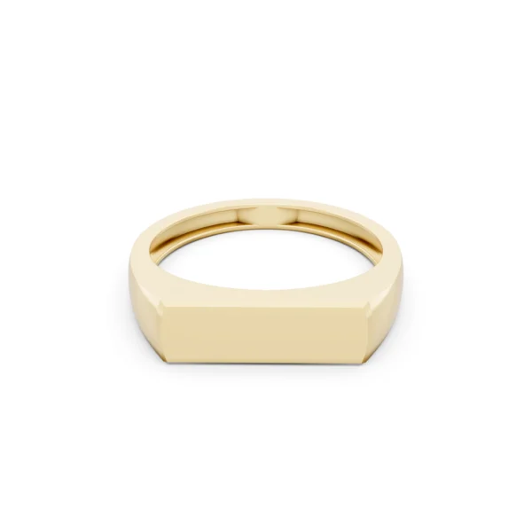 Bar Signet Ring 12