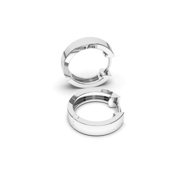 Rounded Hoops Earrings