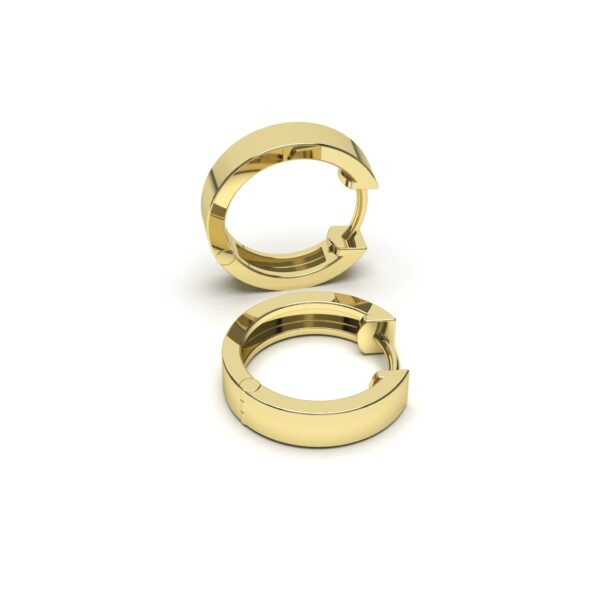 Rounded Hoops Earrings