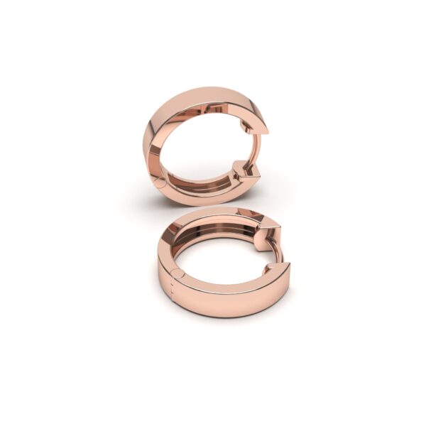 Rounded Hoops Earrings