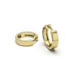 Rounded Hoops Earrings