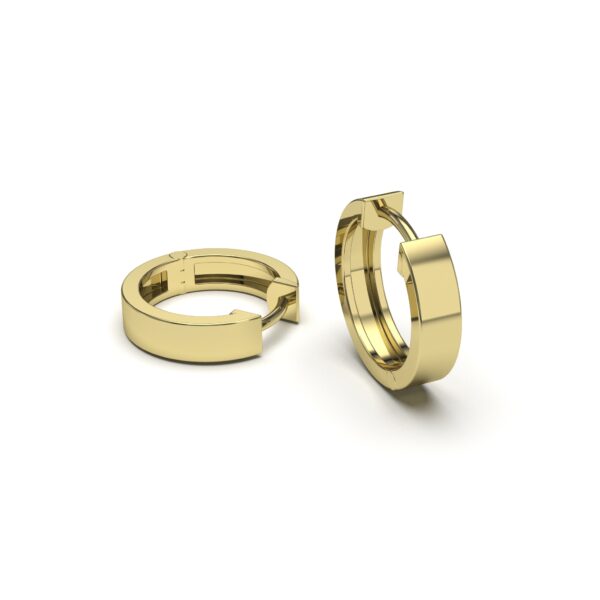 Rounded Hoops Earrings