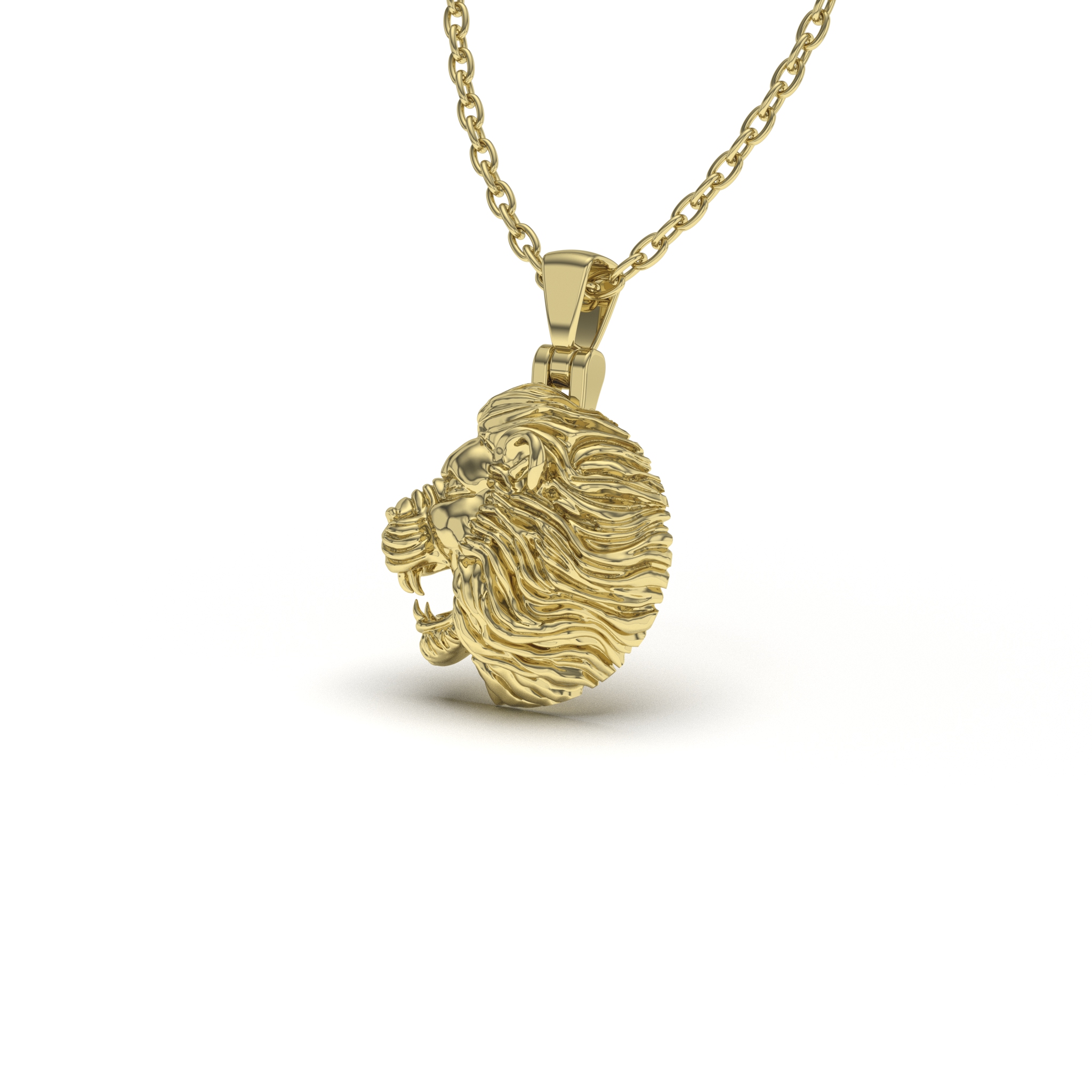 Fierce Lion Power 2 Fierce Lion Power