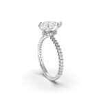 Dazzling Pavé Diamond