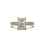 Radiant Hidden Elegance