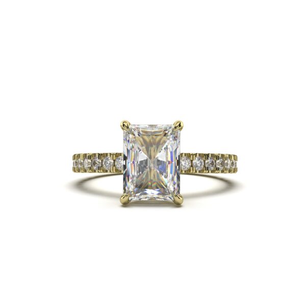 Radiant Hidden Elegance