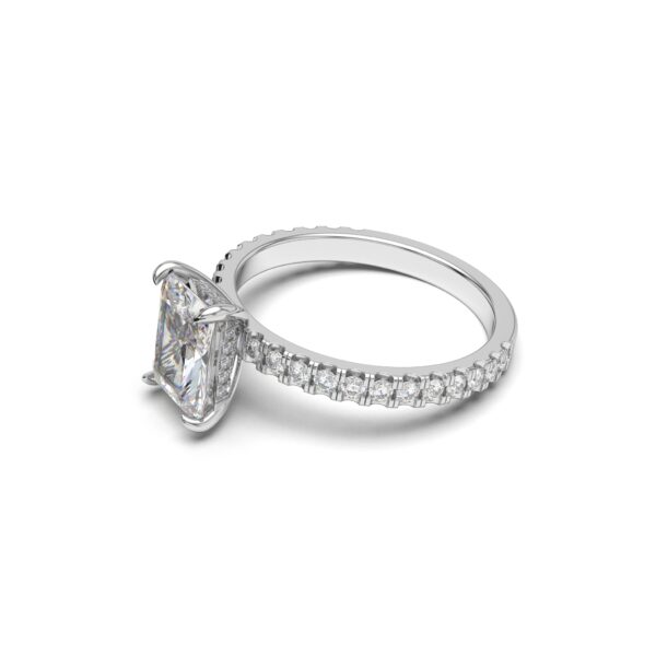 Radiant Hidden Elegance