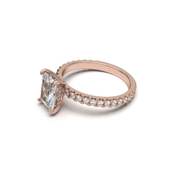 Radiant Hidden Elegance