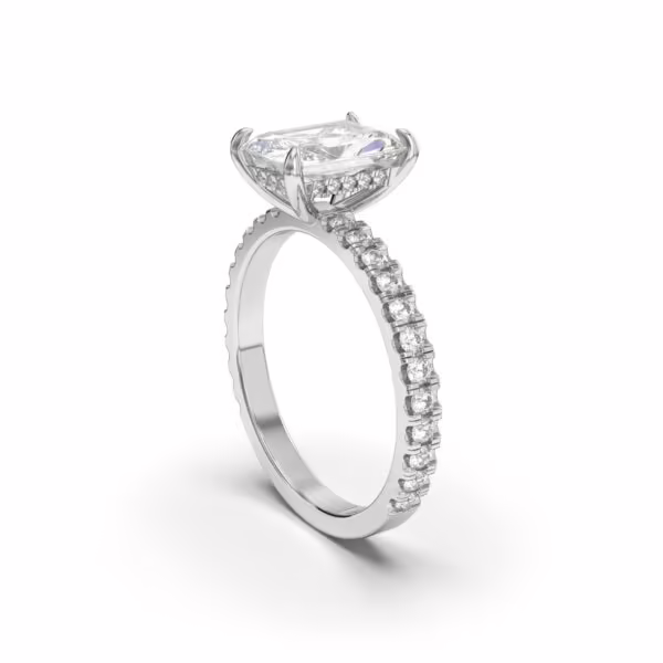 Radiant Hidden Elegance