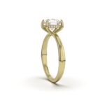 Hidden Halo Engagement