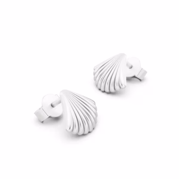 Seashell Stud Earrings
