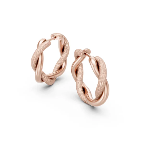 Twisted Hoop Earrings