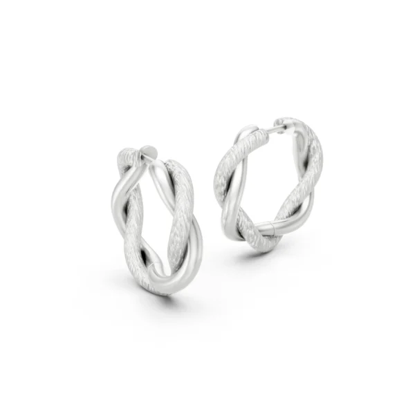 Twisted Hoop Earrings