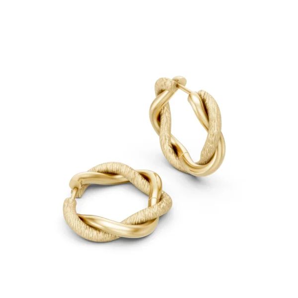 Twisted Hoop Earrings