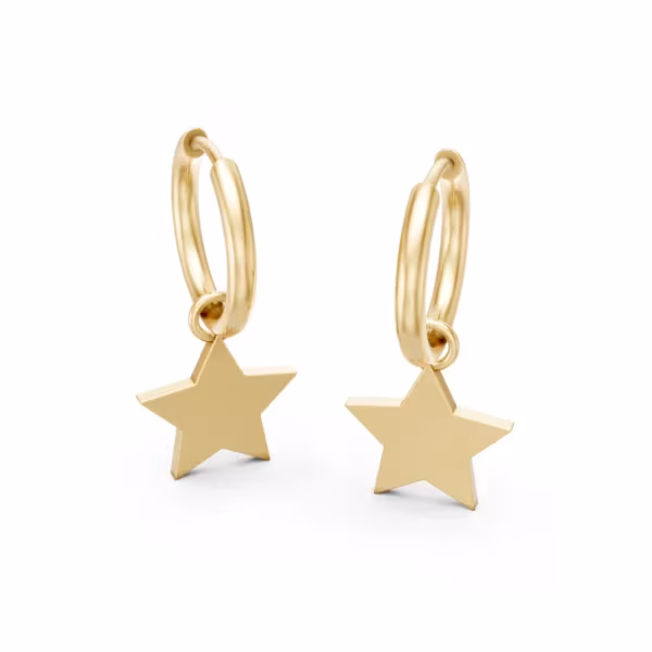 Dainty Star Earrings
