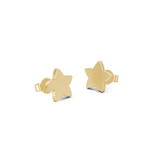 Star Stud Earrings
