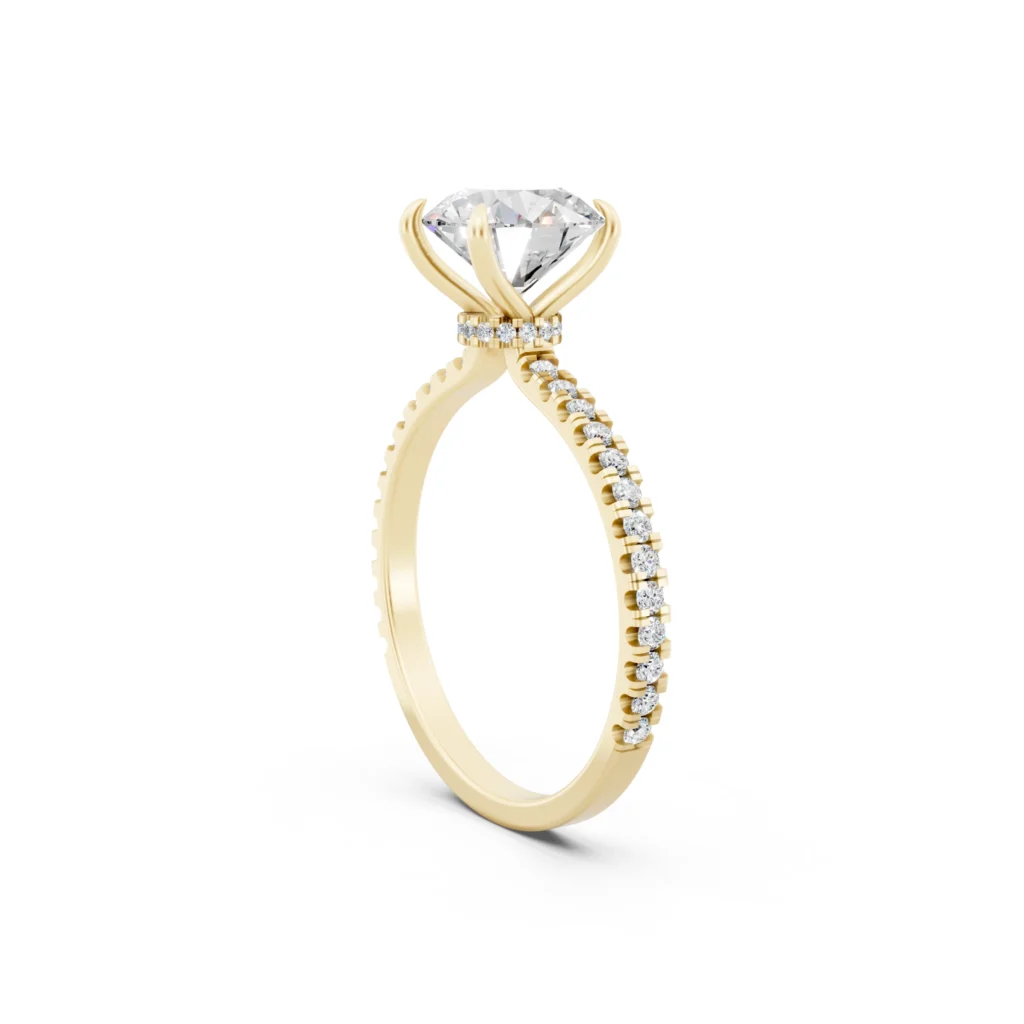 Hidden Halo Engagement Ring