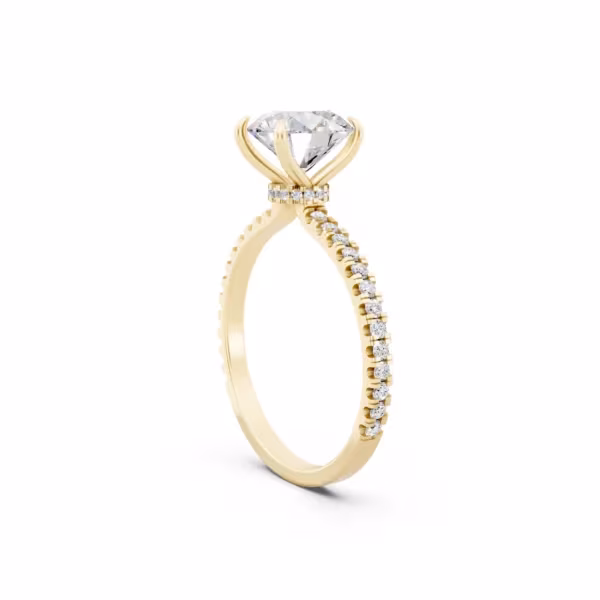 Hidden Halo Engagement Ring
