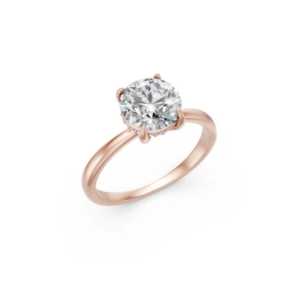 Hidden Halo Ring