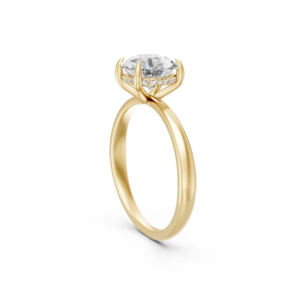 Hidden Halo Ring