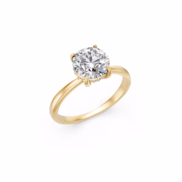 Hidden Halo Ring