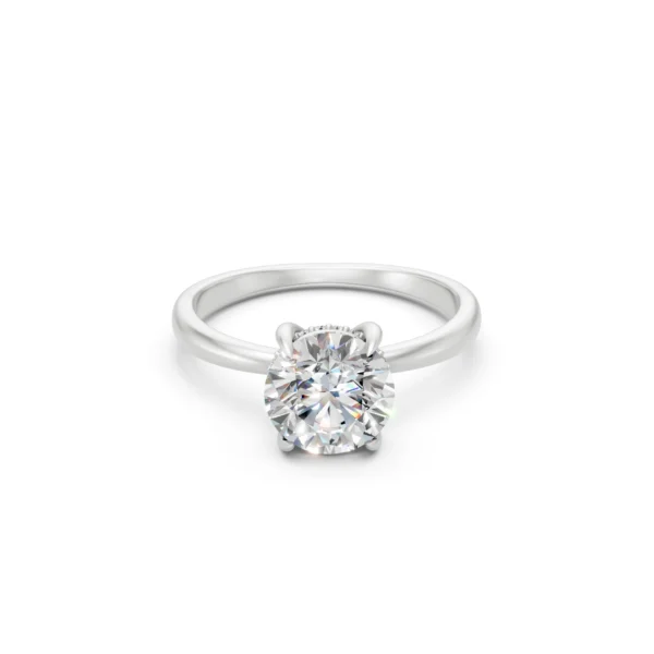 Hidden Halo Ring