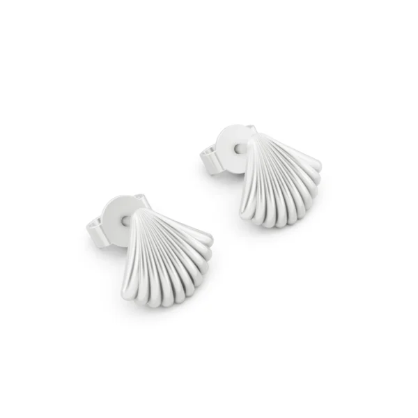 Seashell Stud Earrings