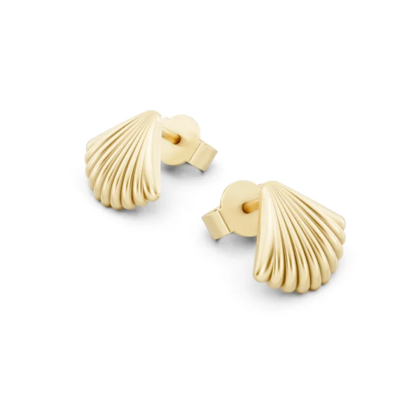 Seashell Stud Earrings