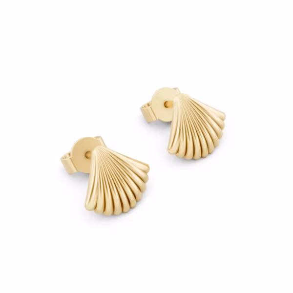 Seashell Stud Earrings