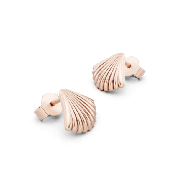 Seashell Stud Earrings